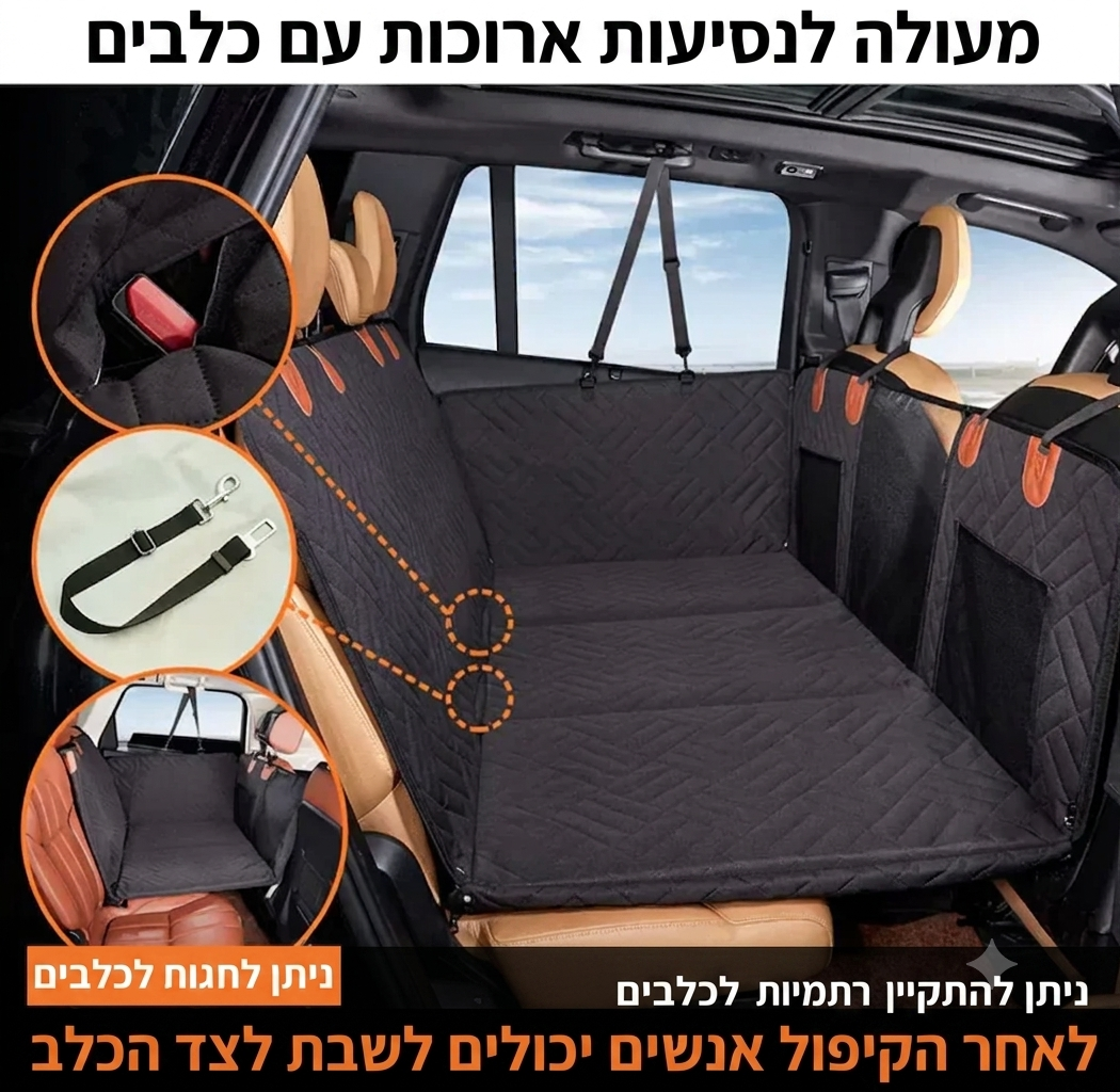 נסיעה בענן