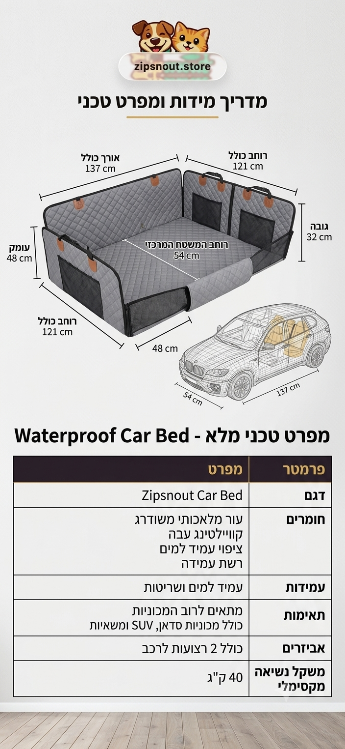 נסיעה בענן