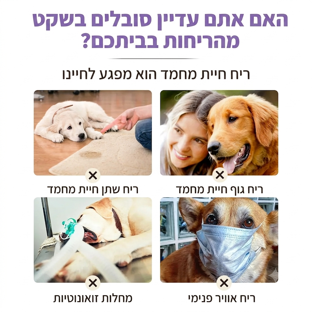 רסיסי ענן