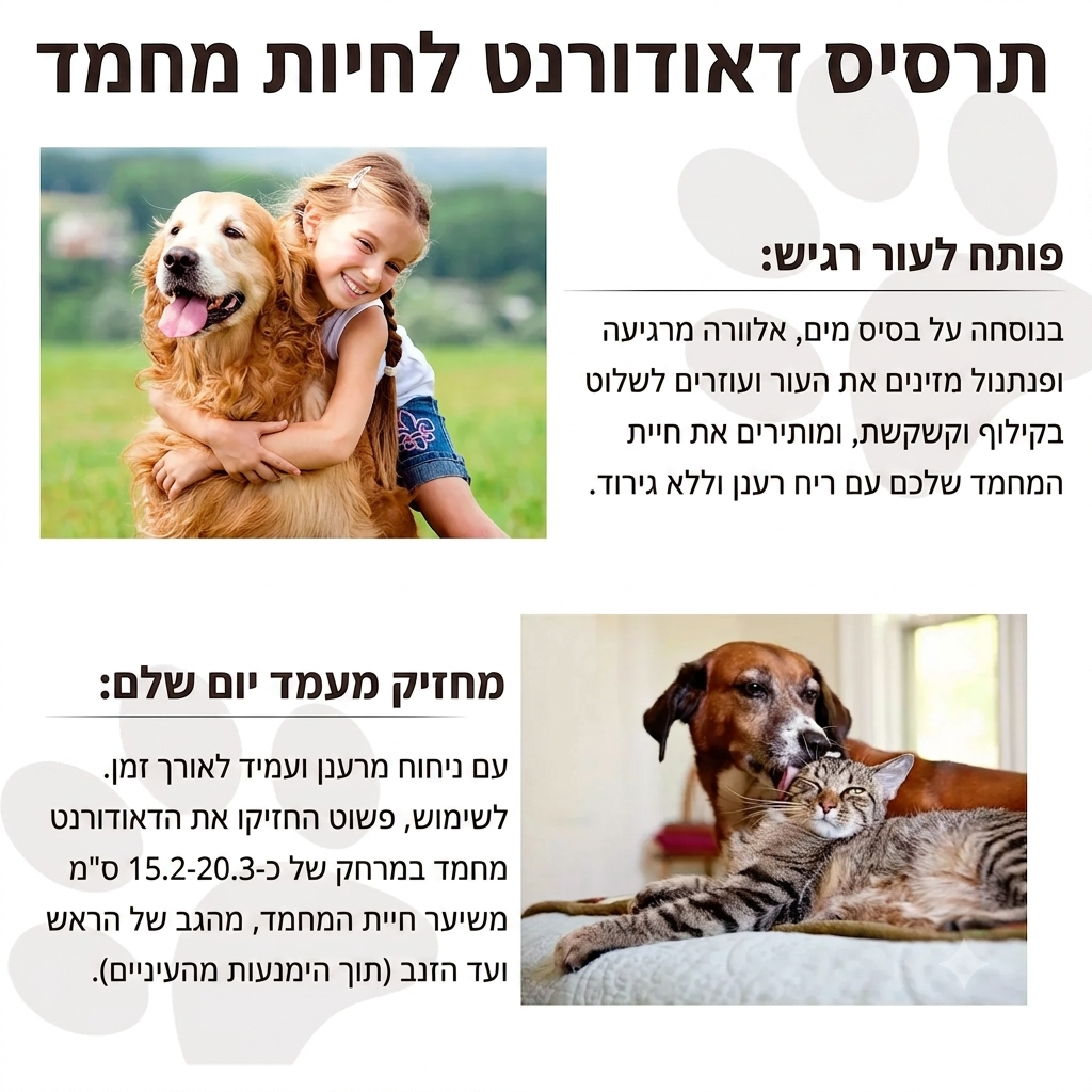 רסיסי ענן