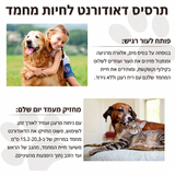 רסיסי ענן
