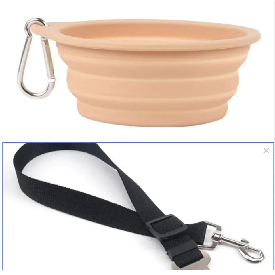 Portable silicone pet bowl with carabiner and black pet leash with metal clasp