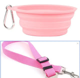 Pink collapsible pet travel bowl with carabiner and matching pink pet leash.