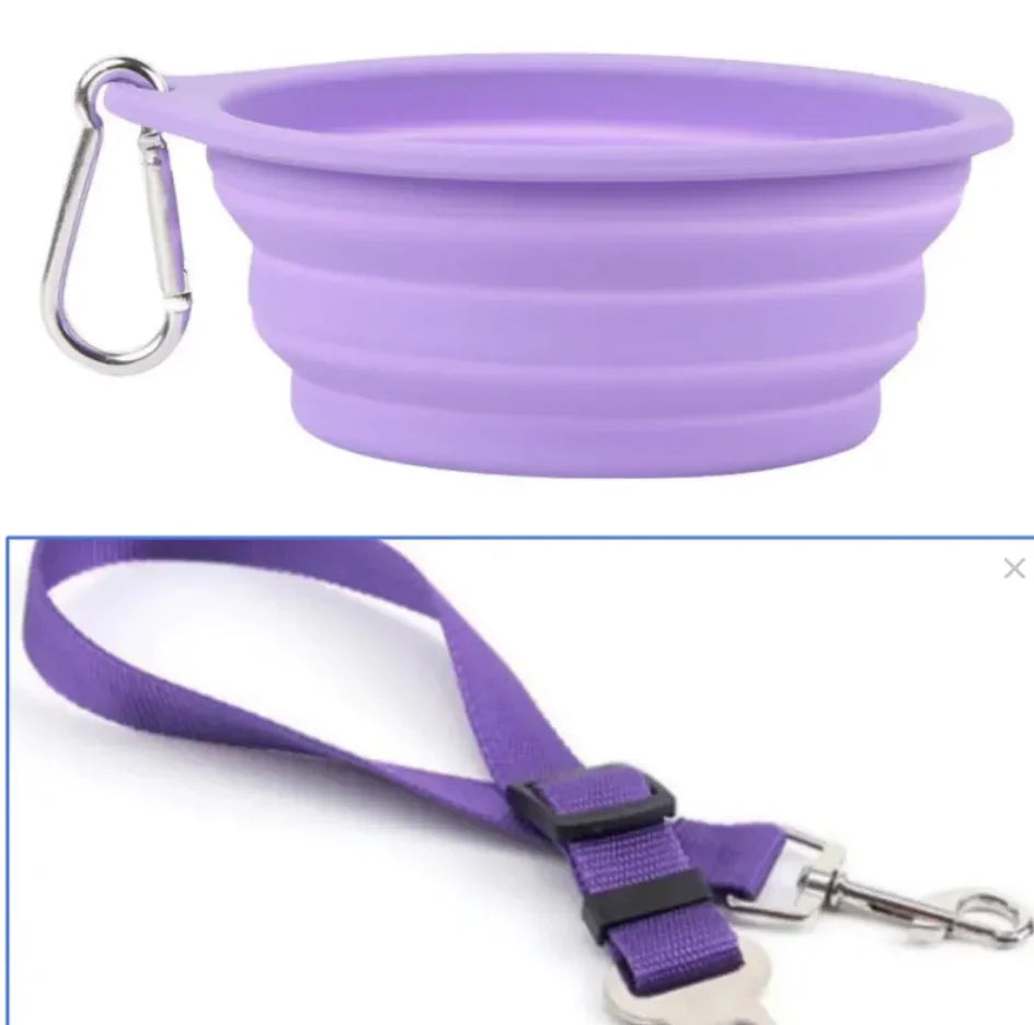 Purple collapsible pet bowl with carabiner and purple adjustable pet leash
